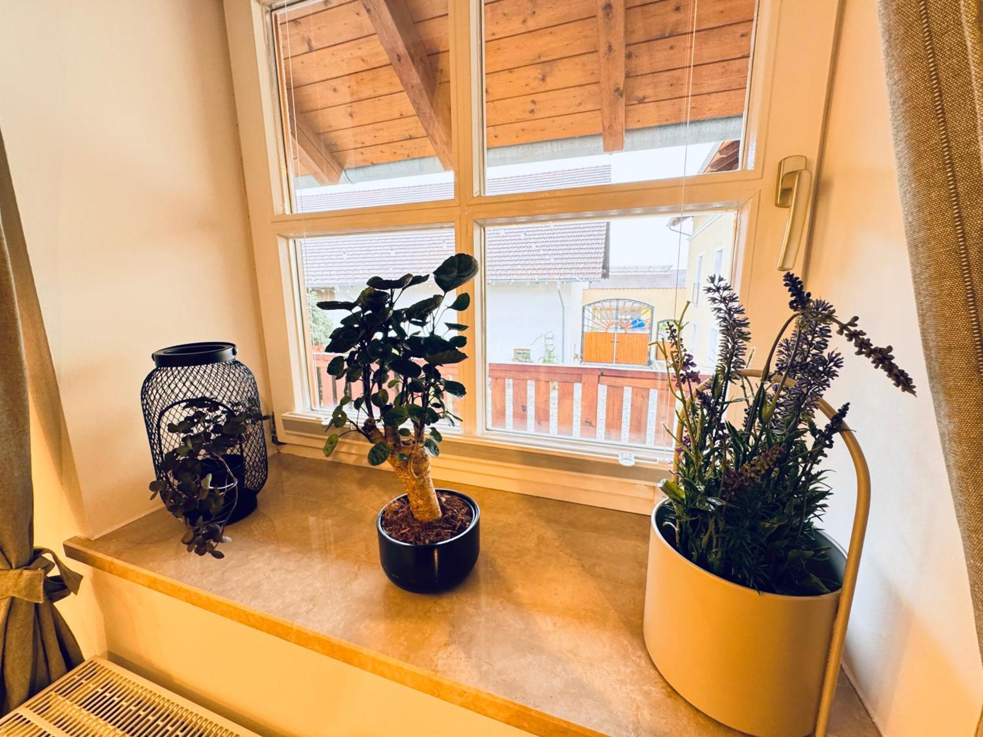 Ferienwohnung Vierseithof 埃京 外观 照片
